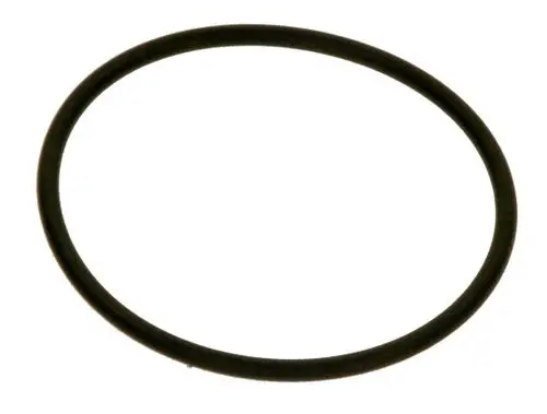 BOSCH-O-Ring-Pumpe-7736700124 gallery number 1